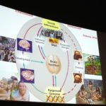 Il Cervello fragile degli adolescenti