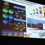 Il Cervello fragile degli adolescenti