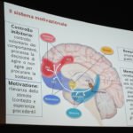 Il Cervello fragile degli adolescenti