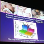 Il Cervello fragile degli adolescenti